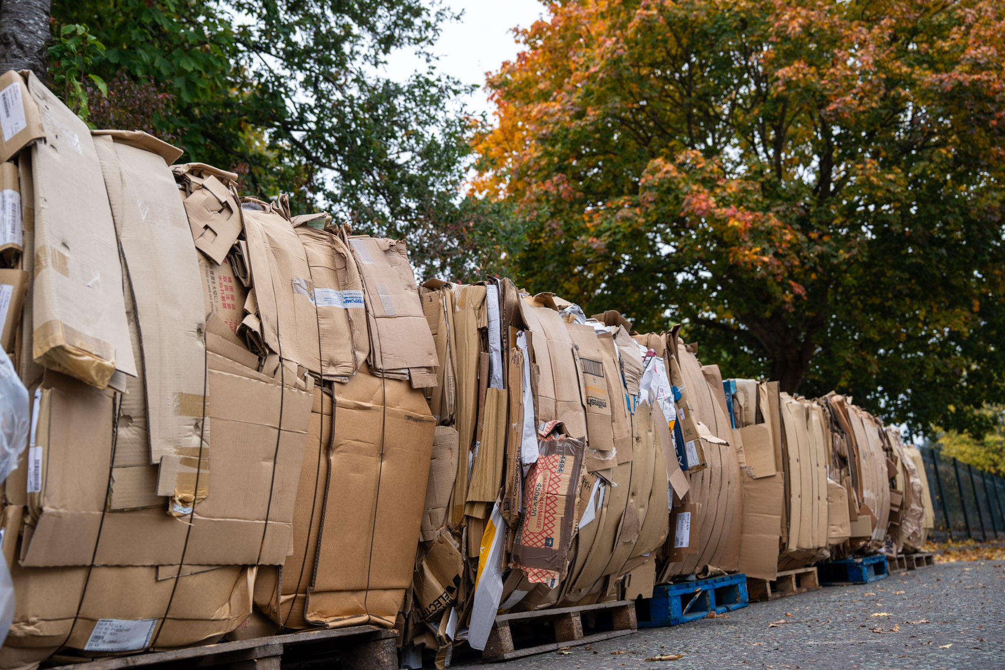 Total Waste Management